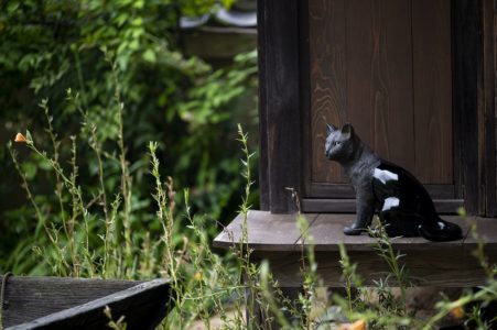 9 14 12 12 夢二生家の秋 関連特別企画 加藤 萌 漆芸展 夢二を見ていた猫たち 夢二郷土美術館